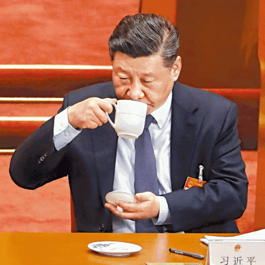 【2019年】習近平在兩會期間,以灰白頭髮示人。【2013年】習上台初期頭髮烏黑亮麗。資料圖片 【2019年】習近平在兩會期間,以灰白頭髮示人。【2013年】習上台初期頭髮烏黑亮麗。資料圖片