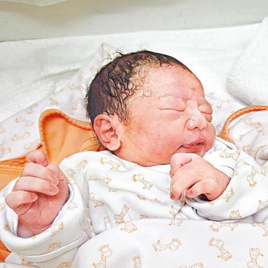 互聯網圖片陳子豐 互聯網圖片陳子豐