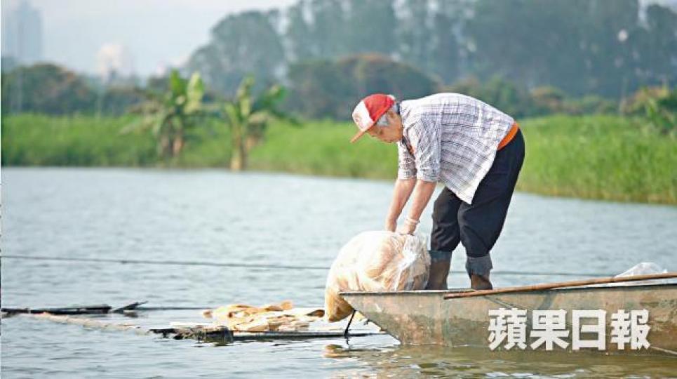 養魚戶蘭姨指,「如果冇咗魚塘,就會冇咗好多美麗環境」。
養魚戶蘭姨指,「如果冇咗魚塘,就會冇咗好多美麗環境」。