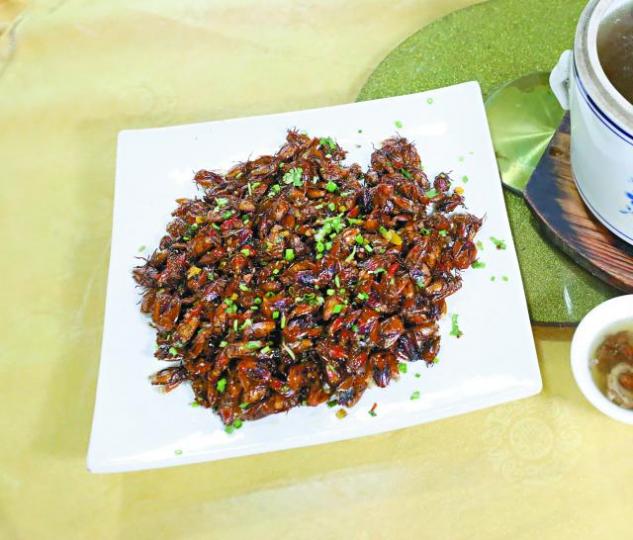 記者試食臭屁蟲。
記者試食臭屁蟲。