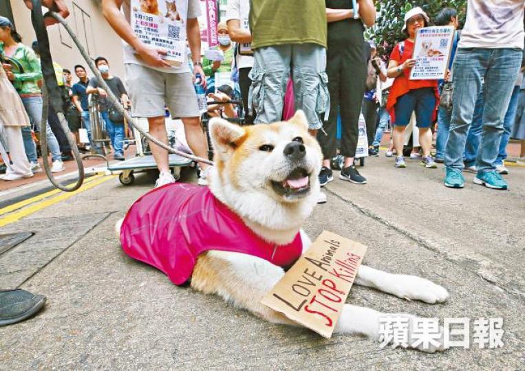 有市民帶同愛犬遊行。