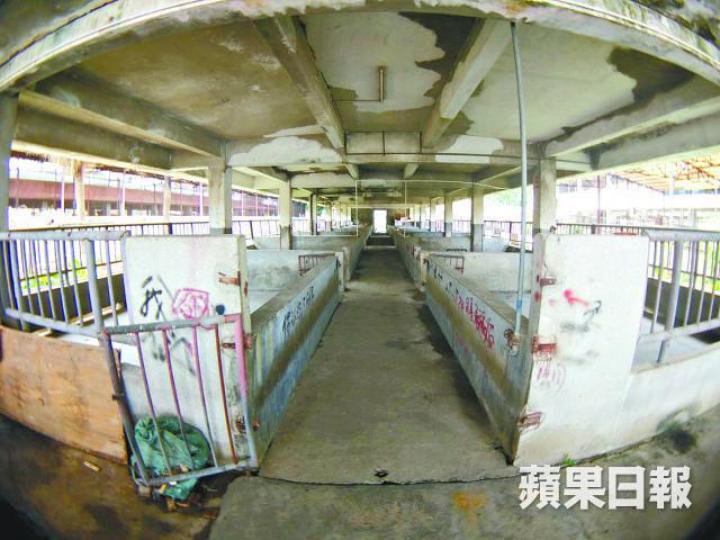 深圳清水河供港活豬中轉站空無一豬，亦無豬糞或異味。《蘋果》記者攝