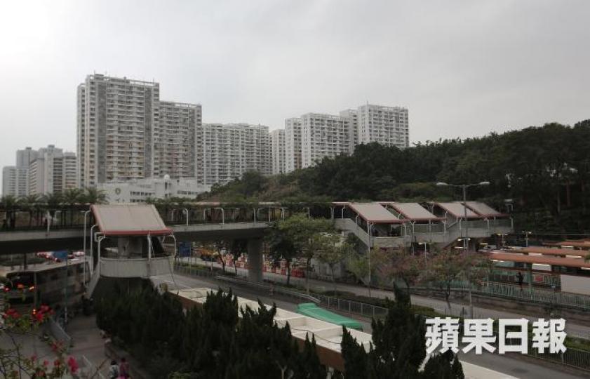 友愛邨鼠患問題嚴重,區議員指屢接獲居民投訴。 友愛邨鼠患問題嚴重,區議員指屢接獲居民投訴。