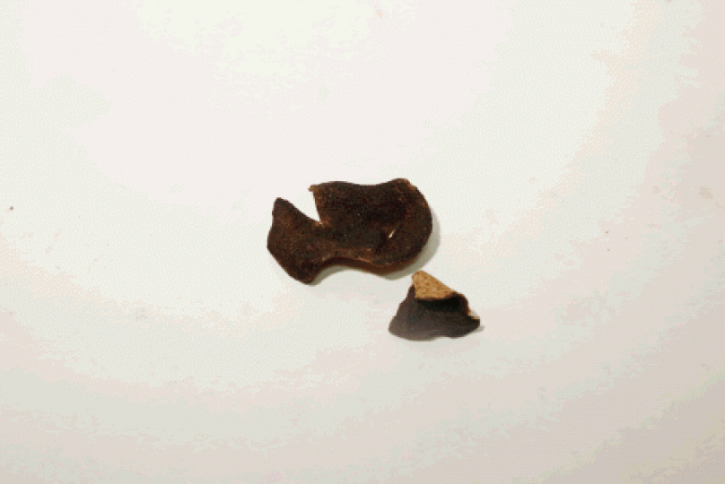 煲湯時加入陳皮,有理氣健脾之效。 煲湯時加入陳皮,有理氣健脾之效。