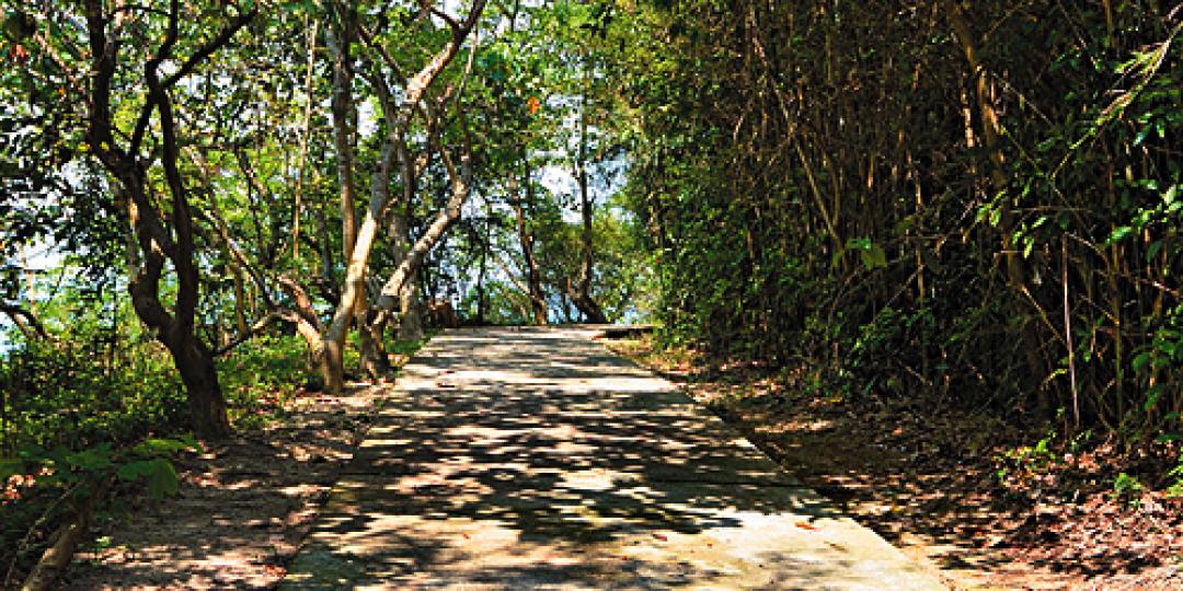 【登山遠足】坪愉徑