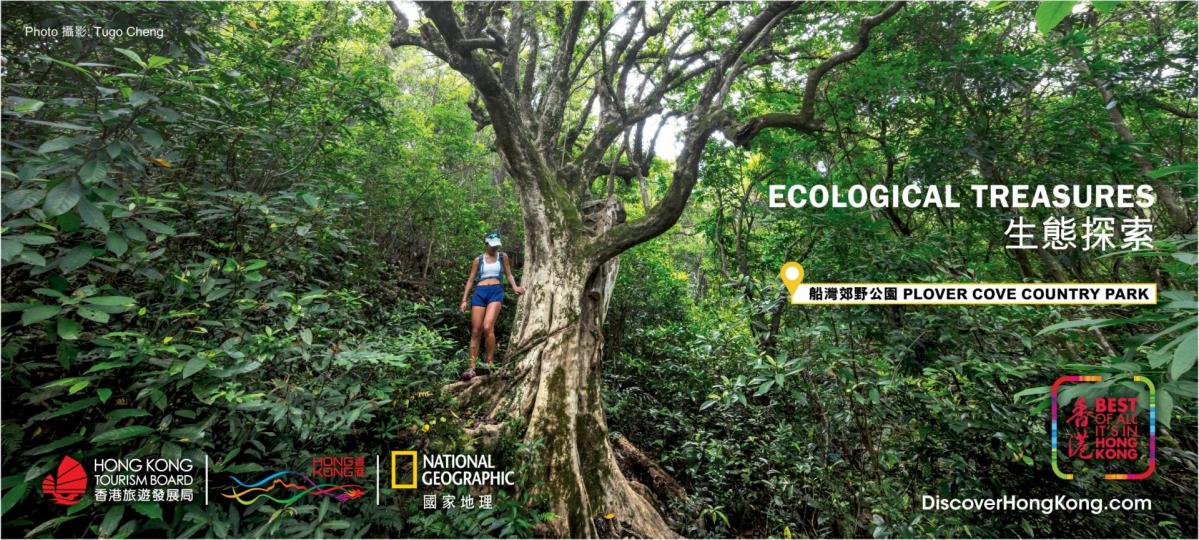 【登山遠足】船灣郊野公園(烏蛟騰至荔枝窩)