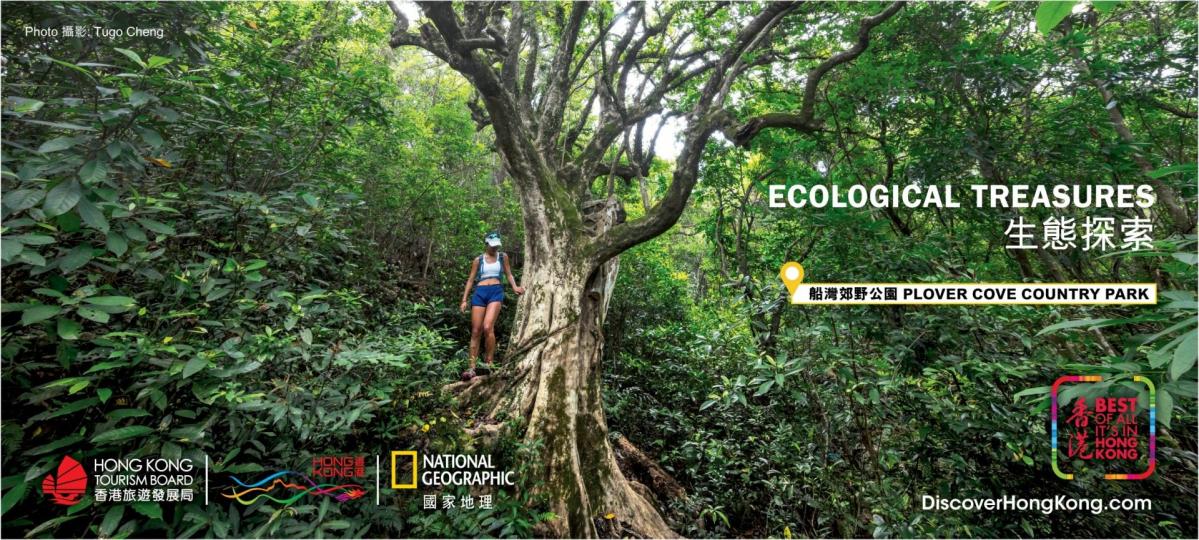 【登山遠足】船灣郊野公園（烏蛟騰至荔枝窩）