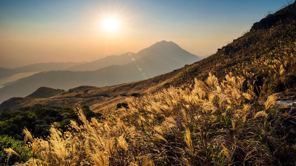 大東山：置身芒草花海，靜待落日晚霞