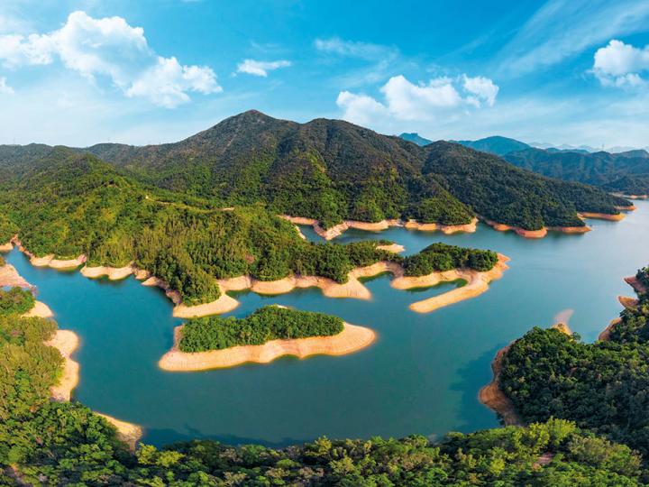 城門水塘：欣賞白千層樹林，在山水間享受如畫風光