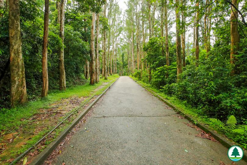 【郊野公園無障礙路線，上線了🎉】