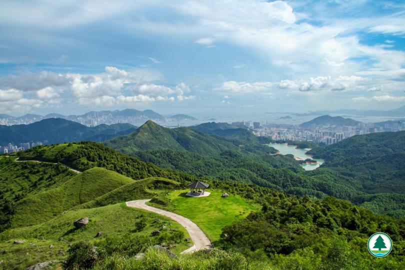 遠眺針山及荃灣