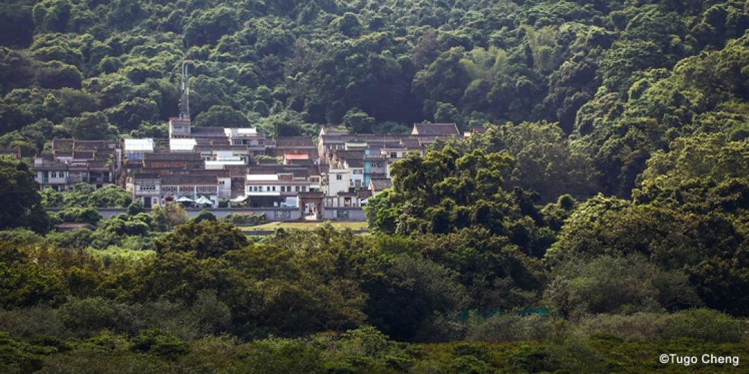 船灣郊野公園：自然與人文雙體驗