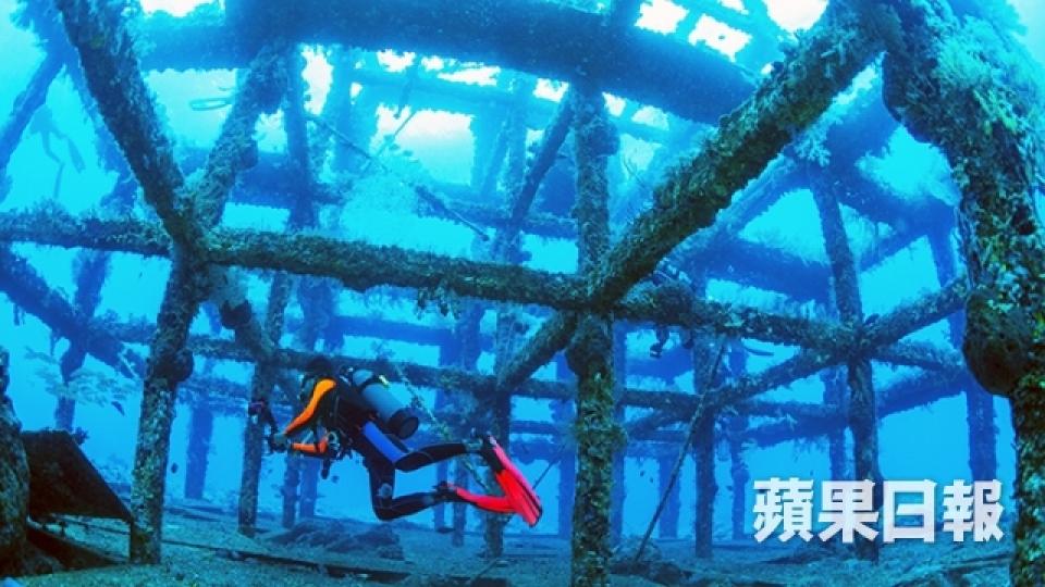 台灣最正潛水勝地 千歲珊瑚倒下變侵侵頭像2
