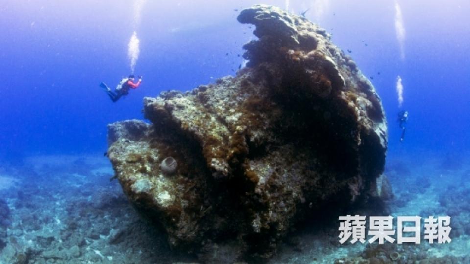 台灣最正潛水勝地 千歲珊瑚倒下變侵侵頭像7