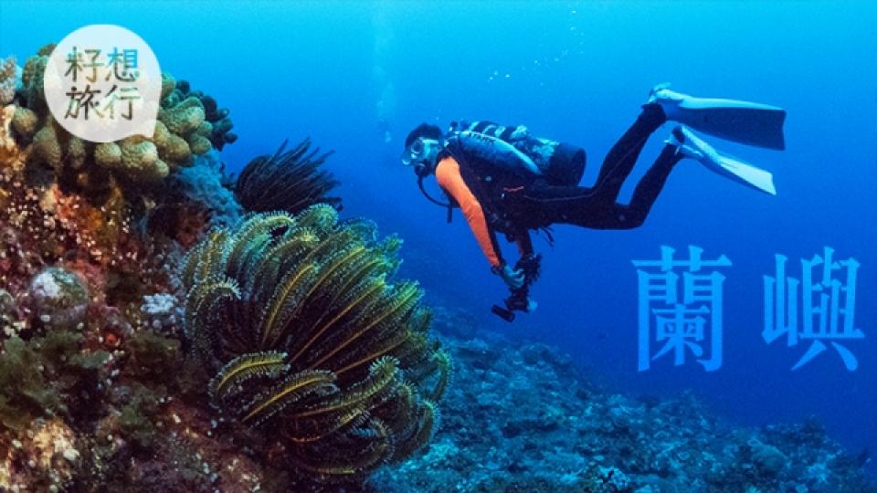 太平洋上遺世小島 水下三十米看懸崖峭壁1