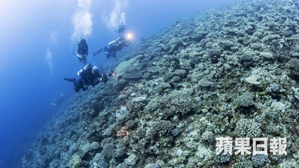 太平洋上遺世小島 水下三十米看懸崖峭壁2