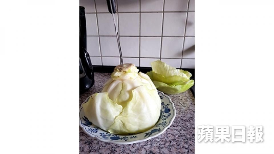 學煮德國冬天暖胃家常菜 椰菜牛肉卷3
