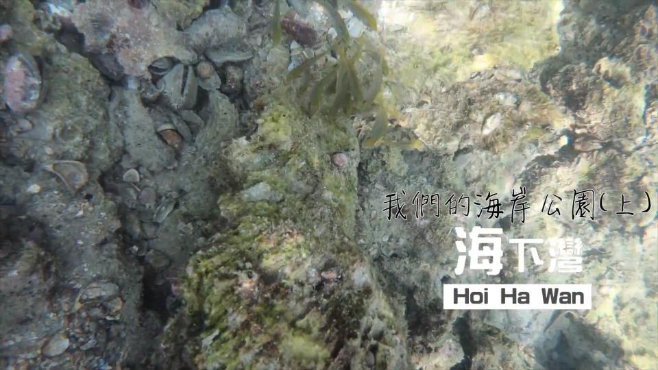 FolloMe隨我行.山|#04 海下灣|我們的海岸公園(上)