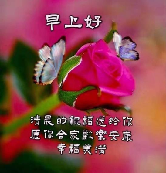 0300C7C6-F4A6-4828-8C8E-393D4FB34837-54610-000011F79C1BED78