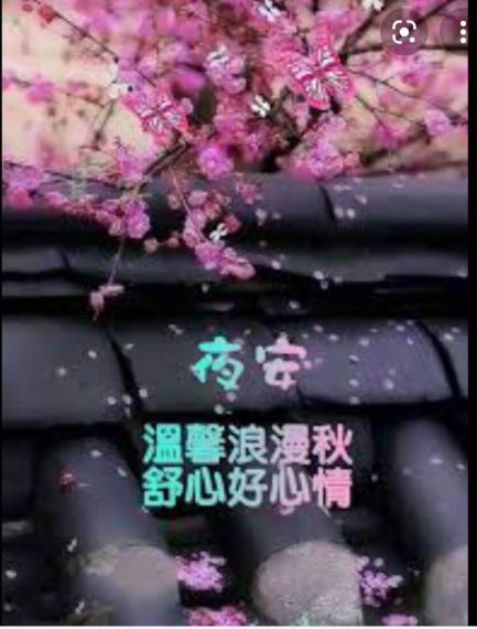 1CA0D0DC-0688-41A0-8523-8AAFC2B2511E-3187-00000C1DA780098E