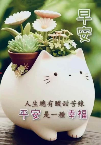 21B5B661-66FE-4073-934D-AC926F6FE59B-50962-000005C2327CA8A6