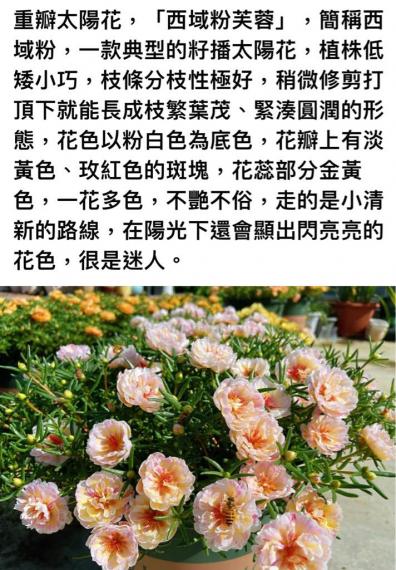 246E1D84-519D-4FA8-AFA4-A7743EAFC746-42629-00000FE6A4667BC9