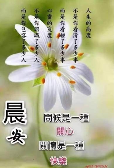 310ED483-7C26-4A7F-A407-022CF8F82DFC-7398-000000D089859F38