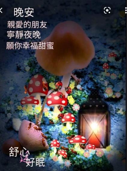 4A94A481-0966-4E5F-856C-76D63231BE3C-80554-000008E66695E63B