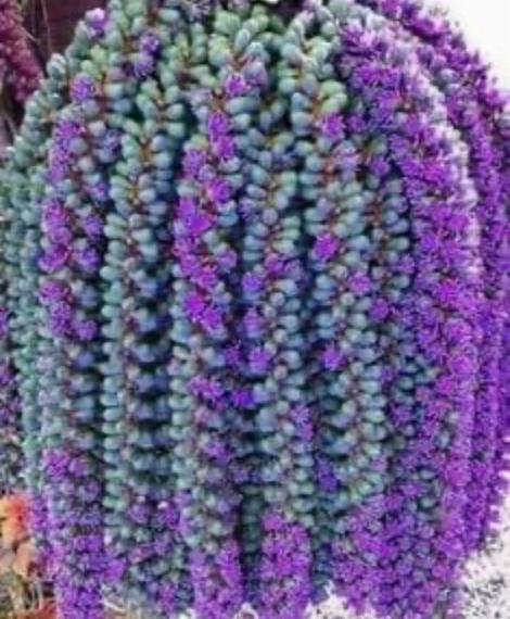 5F1DA075-0157-4DB2-A5E4-029E13A96622-79418-000013BC4BCB9A8E