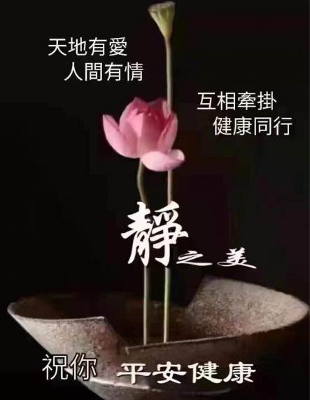 6239F56D-5A88-4A9E-B72F-41336E6F69BF-30651-000003717EEFF6CC