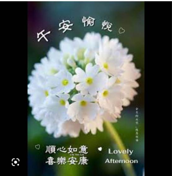 63C5C4D7-6E1B-4FB5-858C-5C9D903081A6-63132-000011DA391E9E4C