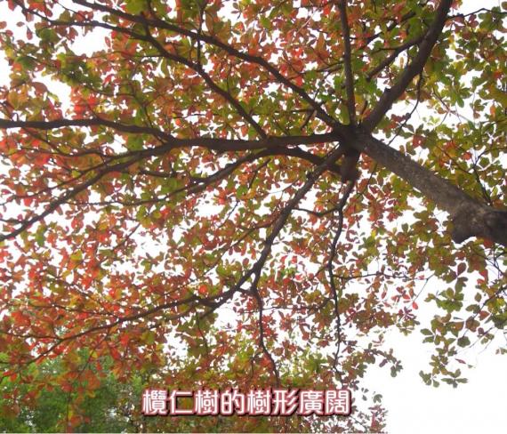 64D24ECD-EC5E-4909-803B-9DA6813F4A25-11056-0000012D043BD4AD