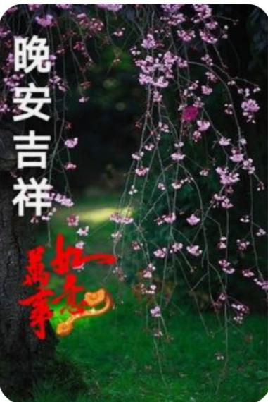 822FDCF3-936A-4956-80A3-25FE42AA47CB-13019-000001715626B0C0