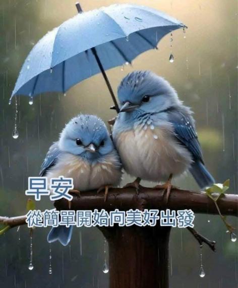 8580D614-94D4-41C2-863C-8963D0600699-1865-00000028EA21C11D