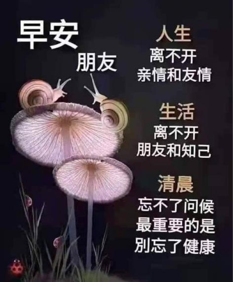 98AAE409-B966-43F6-8CB2-FDFF5BD1608D-7320-000000CFAC88C5C2