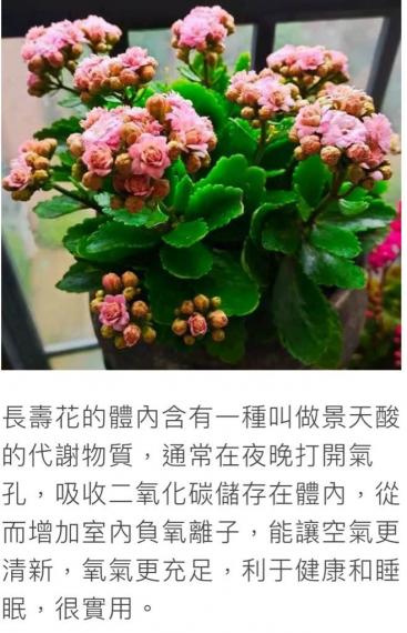 A394309B-3D89-4AF7-AC49-4ECF0CA700EC-23711-00000D7210BE2F86