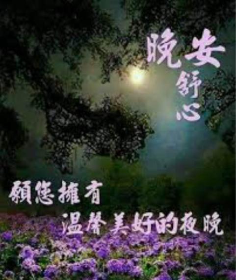 AD4B841C-5469-4CDF-B726-FF0D77E1C71C-18261-000001E86C3B2E61