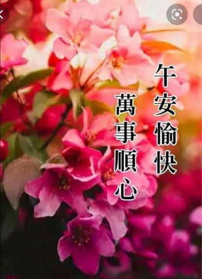 AE88BE2C-33FC-40DF-8F01-032A242D2EE4-80990-000008EDBB646893