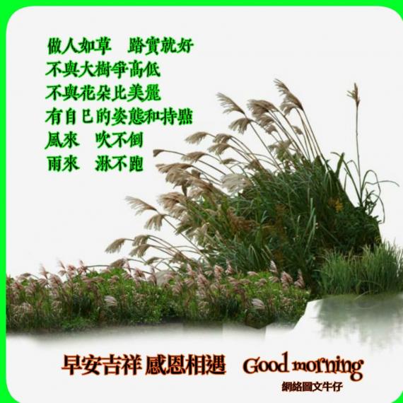 B7652085-3F40-475E-B062-1EF67E67706E-13638-00000184847F271D
