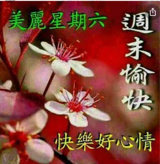 C38A1316-F45C-404A-A23A-8CB0DC97FA2C-7230-000000DC30EE37A5