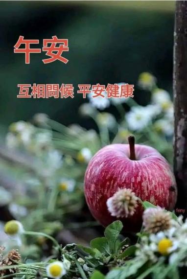 C88CC583-30D2-4290-ADA6-3BF873628992-38637-000004B0B3C05B5B