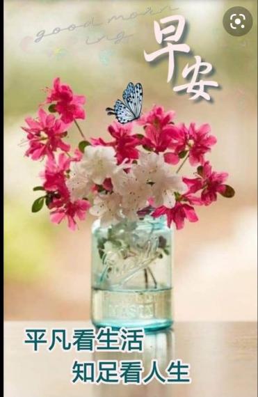 CE4DD43B-47C8-4F01-BE56-D988BC6E393B-83047-000009CAD658B225