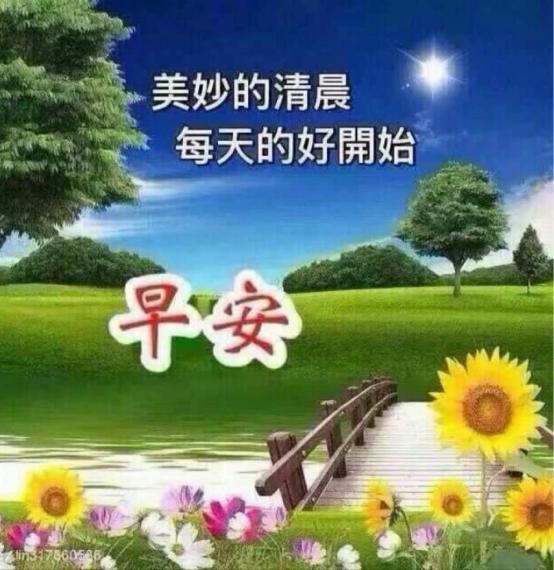 D0451419-151B-4B85-83E8-72B153612633-1449-00000B094B06A867