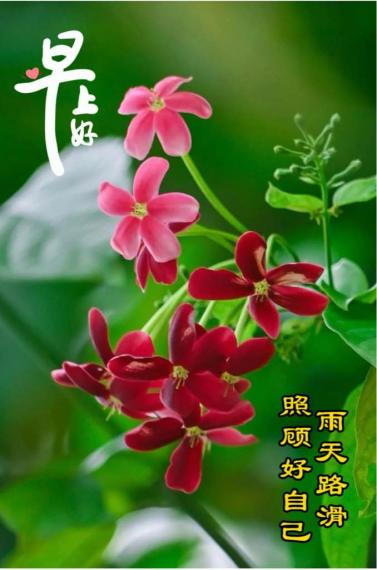 D4C6504E-01BE-4CC3-BBEA-2284A4135053-11883-00002019909BD6EC