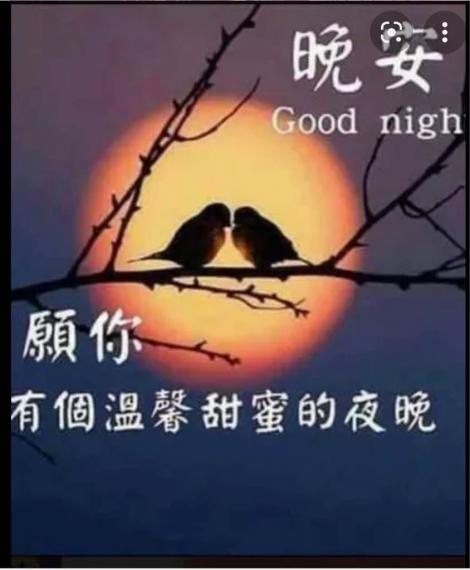 D5BE31CF-C7C7-40F9-B633-EA329023C958-42361-000004D40A1A94BF