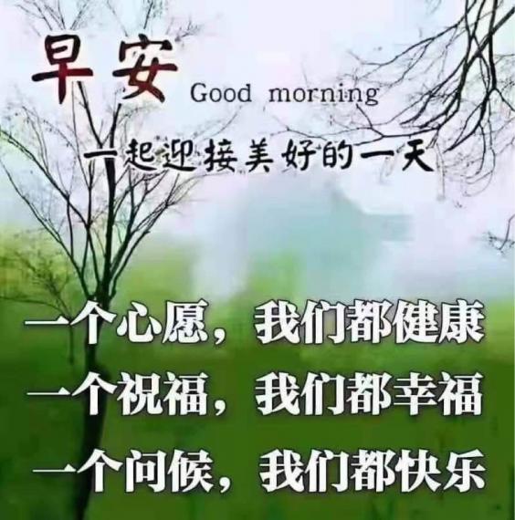 E86130D0-4460-49A7-9DF9-6B9EA01D71A3-63701-00000784D82C7860