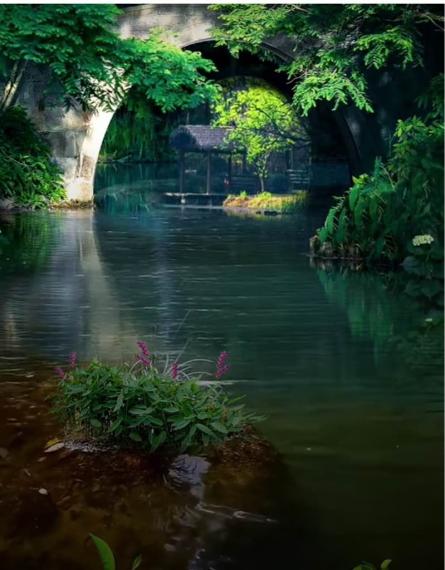 EE119312-B368-4A70-BD6A-C6EF6500FD54-34029-000003E1FF49F9BC