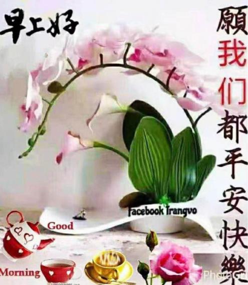 EE866627-F4C9-4CBC-8F12-05D4A8D408A6-12020-00000175DFCD9356