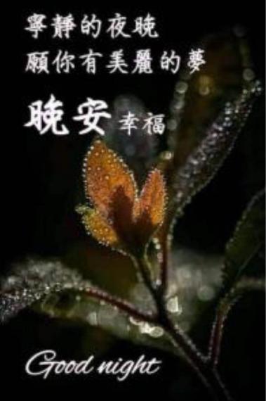 F624F07E-0EB9-4A0F-8078-0909094977A0-96192-00000B52BC07524B