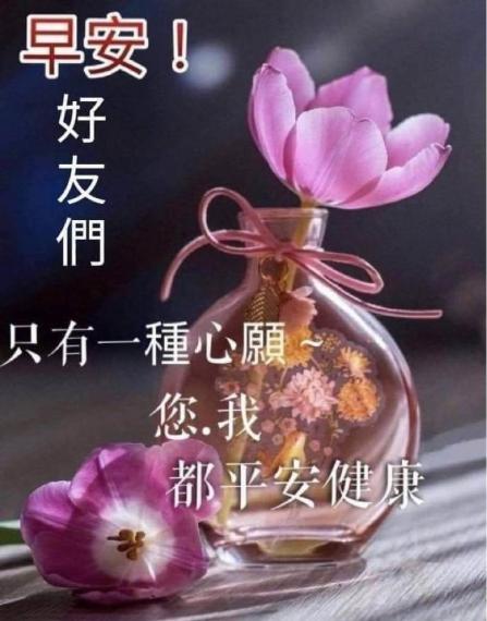 F7382C53-B55D-4EA2-AC36-15C6735A23F5-13641-000001908DADB1DA